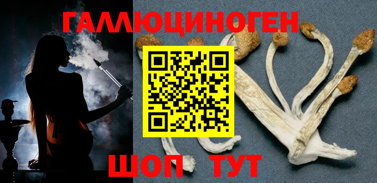 Псилоцибиновые грибы прущие грибы Ртищево